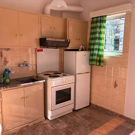 Blue Green Studio * Tolo