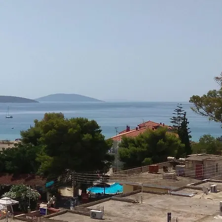 Blue Green Studio Tolo